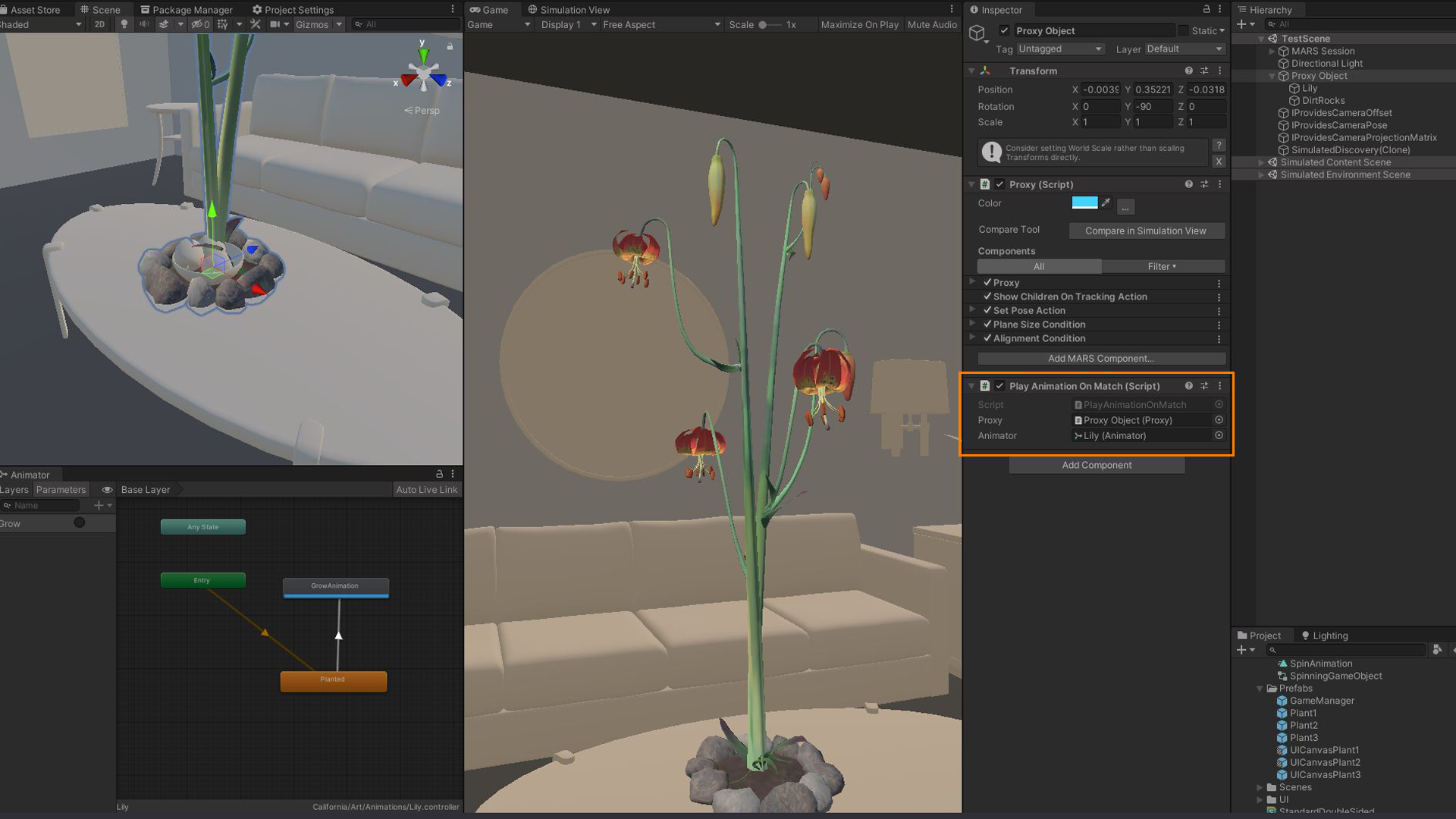 Screenshot of the Unity editor. The inspector and Hierarchy menu are open. In the Inspector menu a script called 'Play animation on match' it circled. In the game view there is an animated flower with red buds. Sitting in dirt surrounded by stones. The scene view is zoomed in on the lower bit of the stem and stone/dirt area. The animator window is open with a flow set up but it's difficult to read.