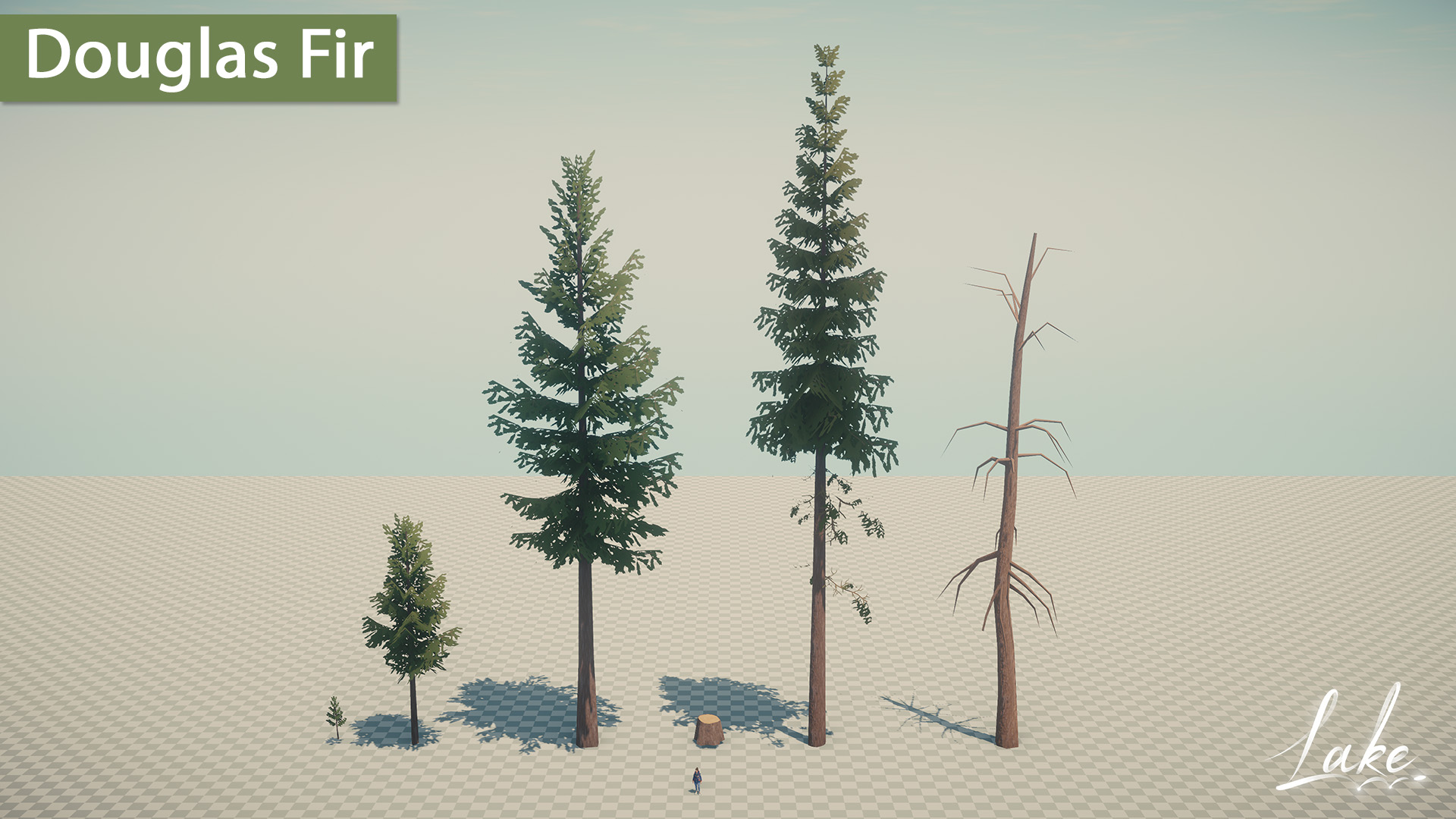A sapling, a young tree, a cut tree trunk, a full adult tree, and a leafless tree are side to side in the Unity editor with the caption "Douglas Fir"