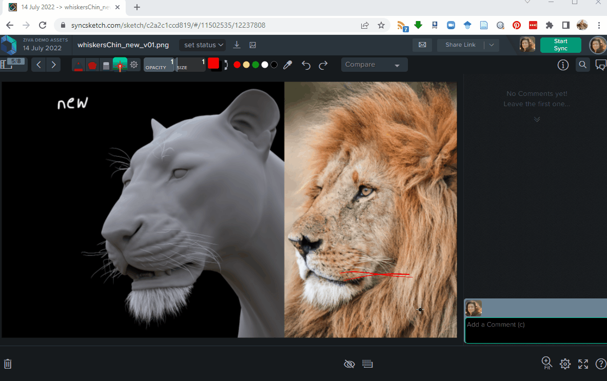 A model lion on the left, with a real picture of a lion on the right