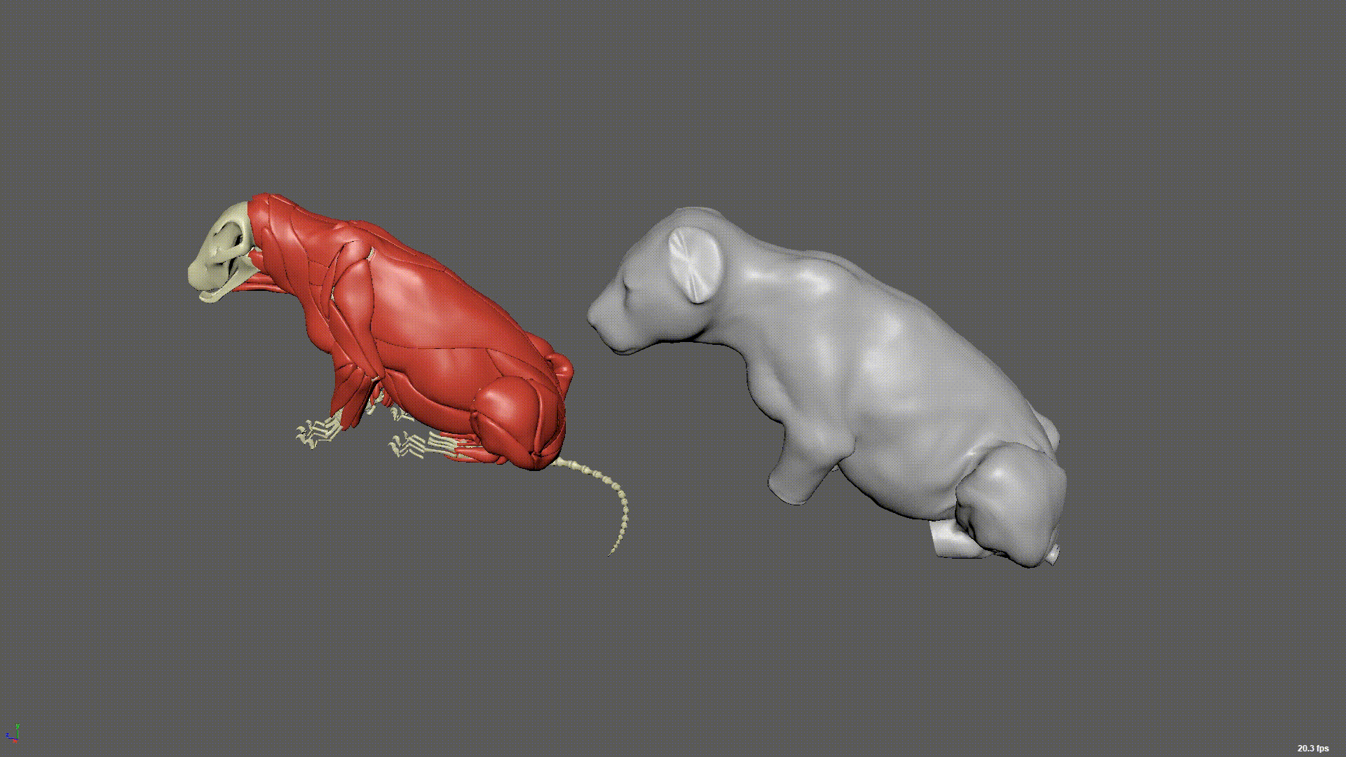 Two grey lion cubs in Unity Editor side by side, walking and stretching