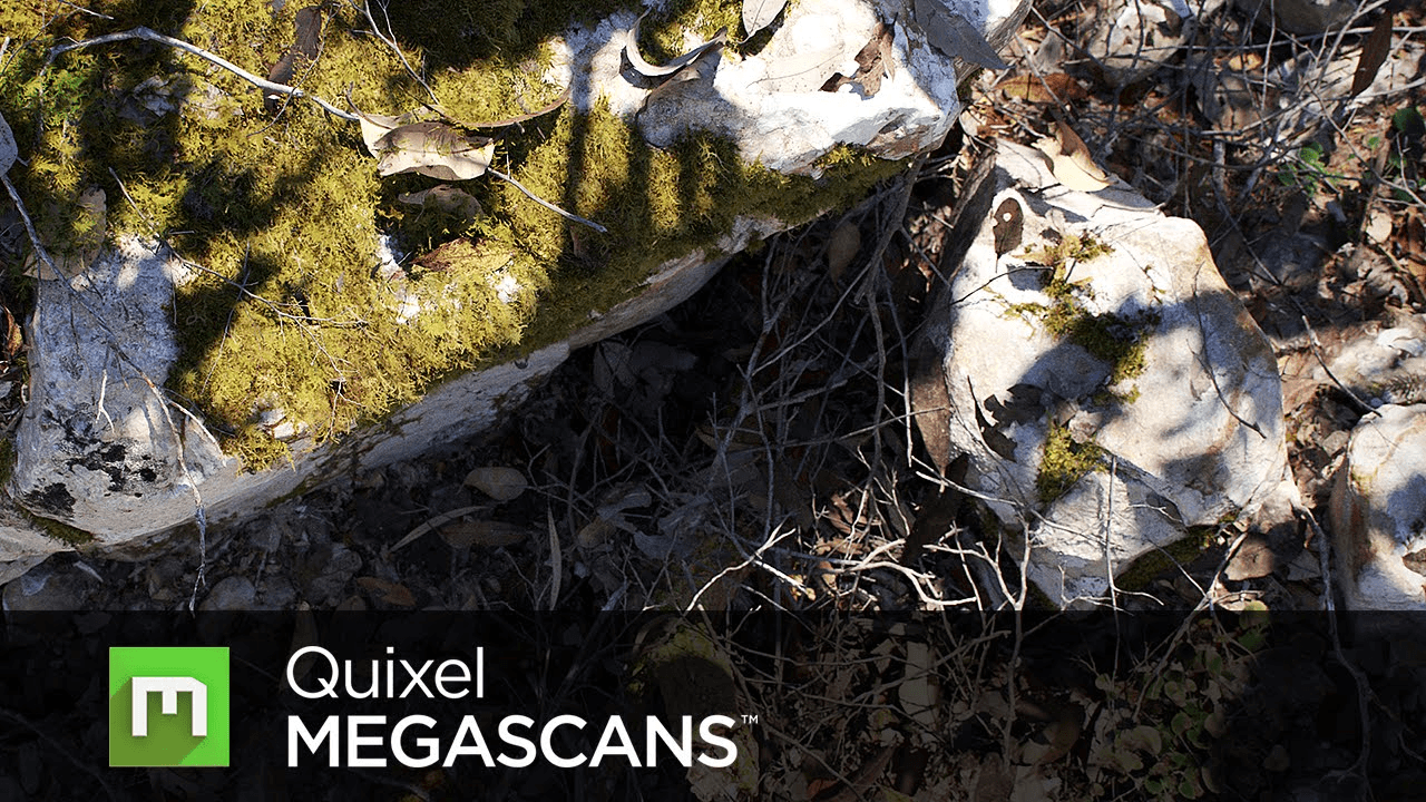 Quixel、Megascans、フォトグラメトリ、環境アート