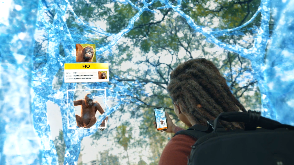 Wildeverse trailer still showing a person looking at an orangutan in an AR forest.