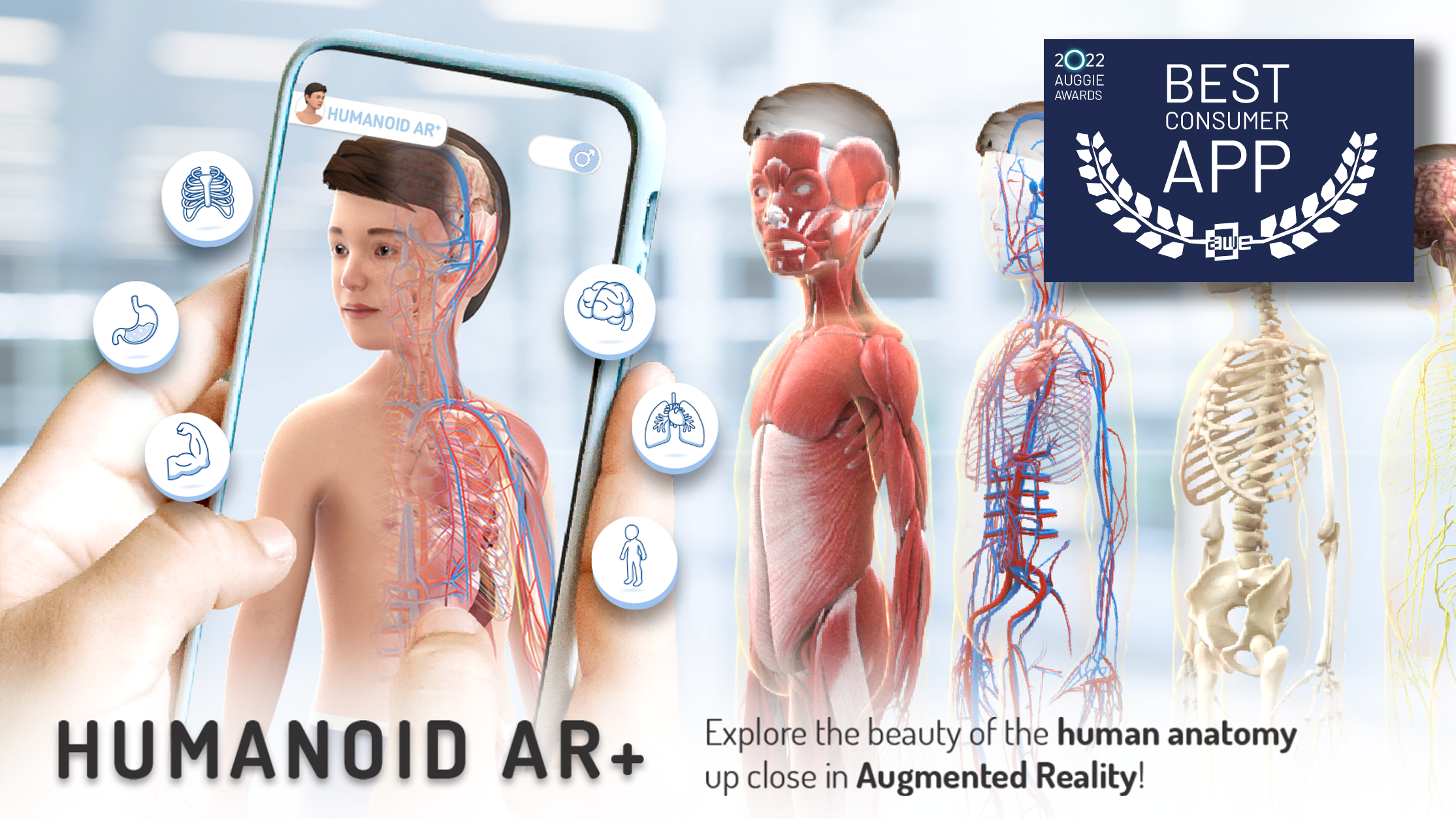 Promotional art for 3D Humanoid app