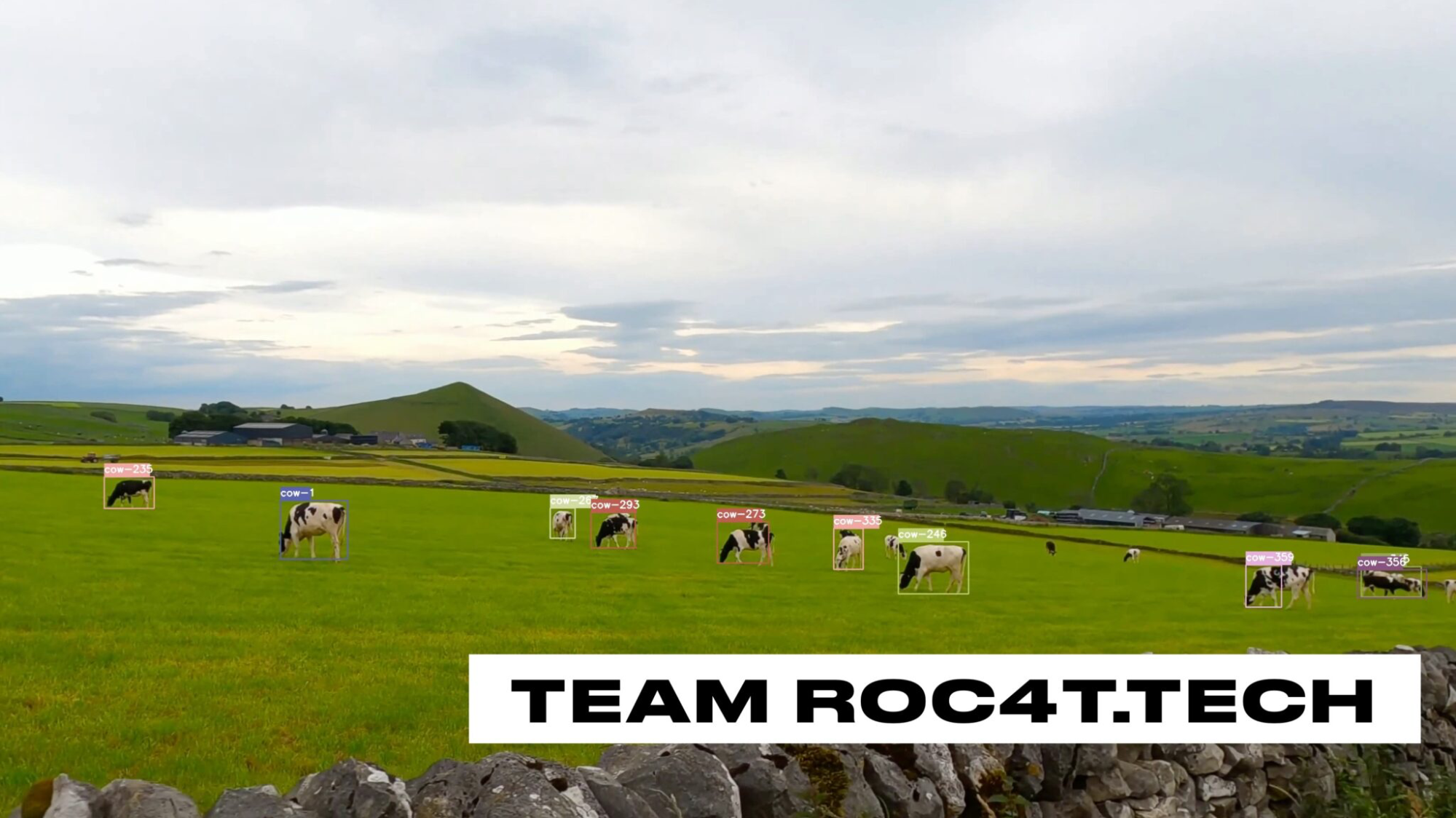 Image of cow tracking work from team Roc4T during OpenCV Spatial AI Contest 2021