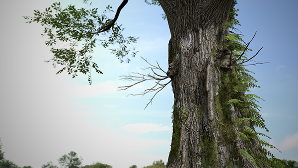 Detailed view of a twig- and leaf-covered tree built using SpeedTree 9.5