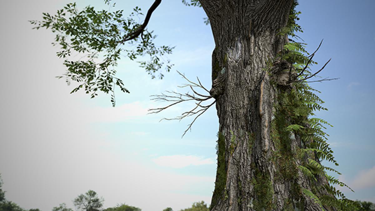 SpeedTree 9.5: Unleash creative control and realism with procedural detailing
